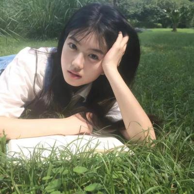 无言的树 在线观看